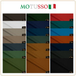 Motusso